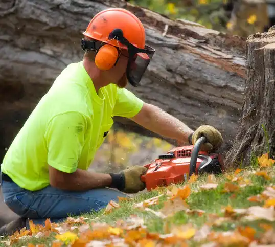 tree services Vermilion